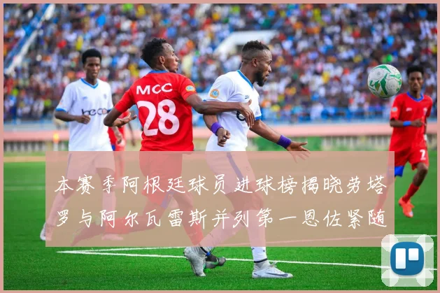 本赛季阿根廷球员进球榜揭晓劳塔罗与阿尔瓦雷斯并列第一恩佐紧随其后