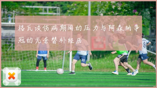 格瓦谈伤病期间的压力与阿森纳争冠的无奈替补经历