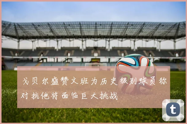 戈贝尔盛赞文班为历史级别球员称对抗他将面临巨大挑战